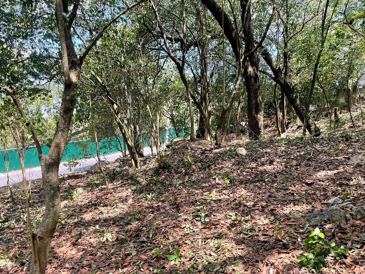 Lote em Olinalá, San Pedro Garza García, foto 2 de 8
