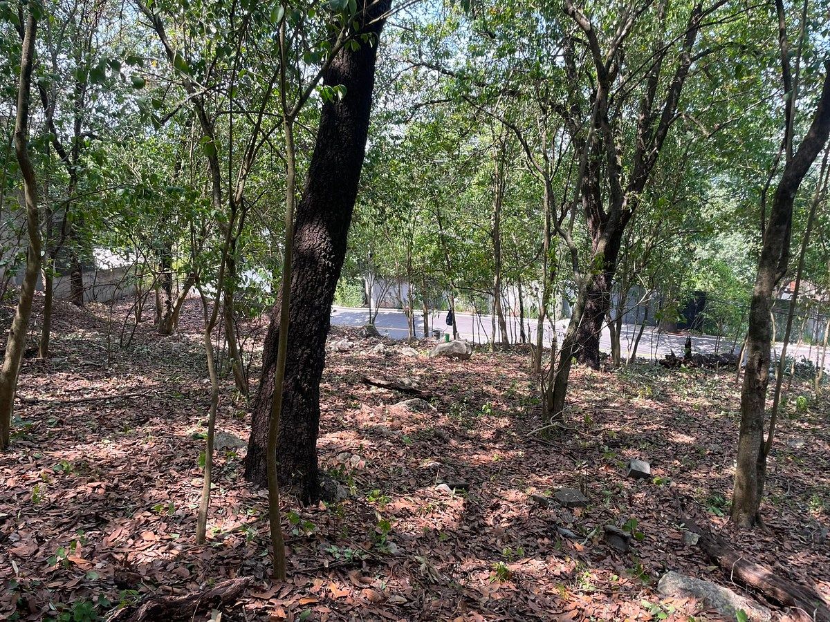 Lote em Olinalá, San Pedro Garza García, foto 6 de 8