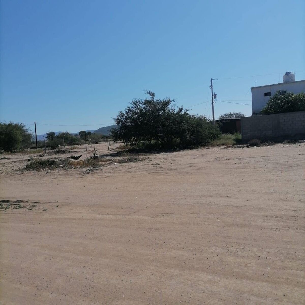 Imagen 2 de 3