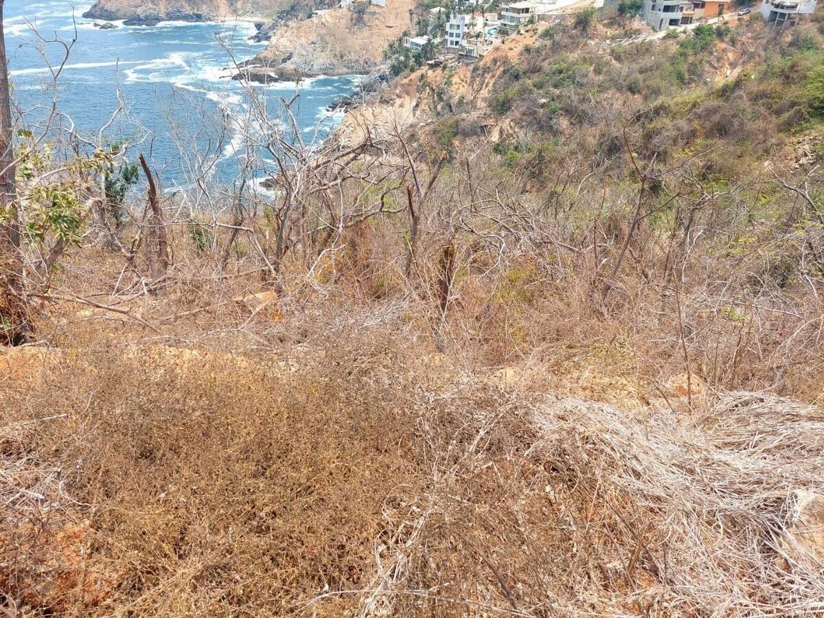 10 de 10