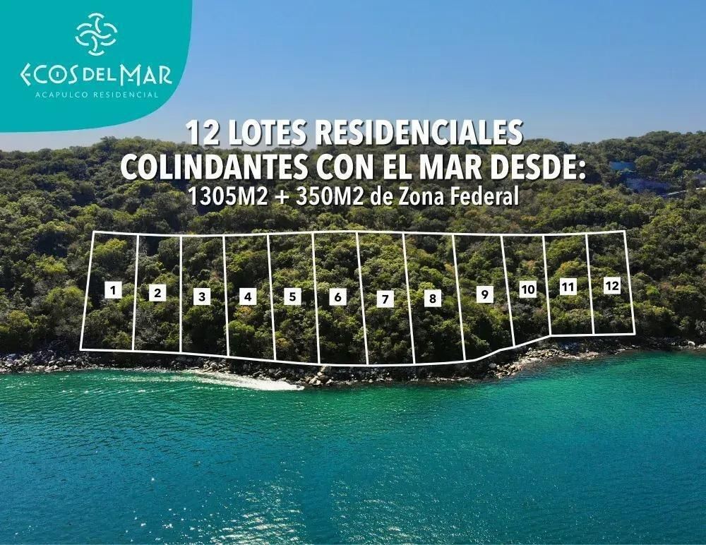 3 de 12