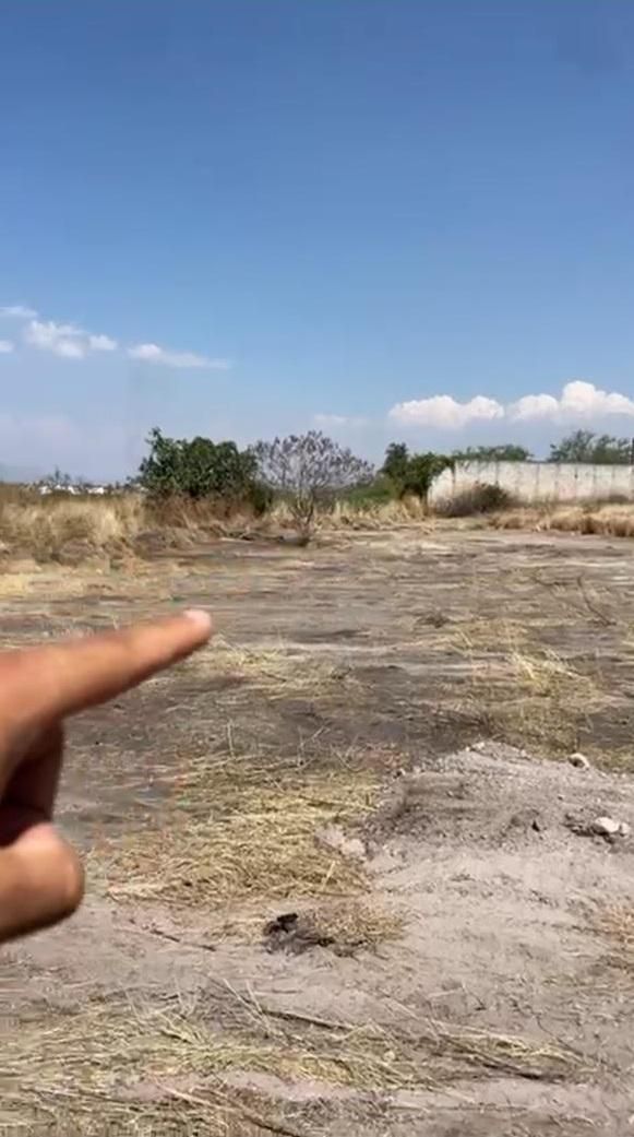 2 de 8