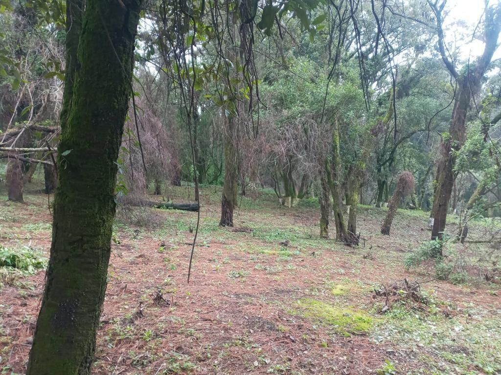 3 de 25