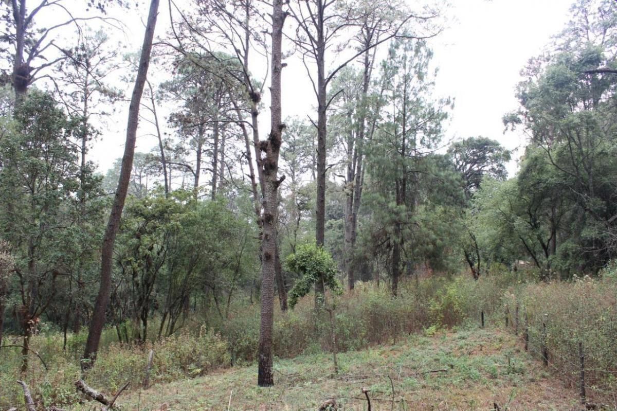 4 de 5