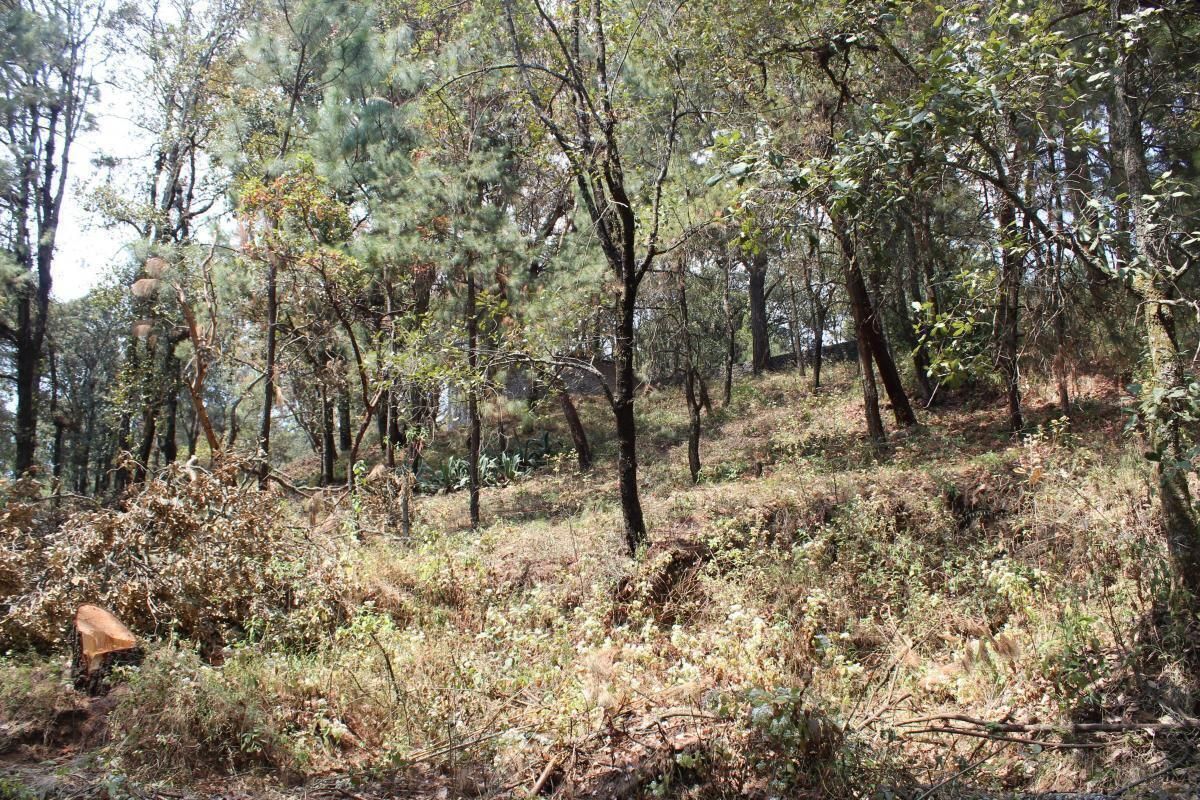 3 de 8