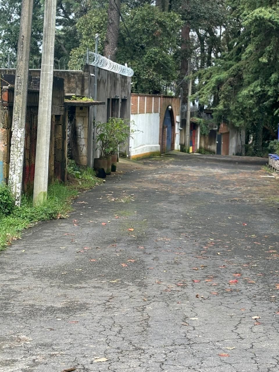 1 de 10
