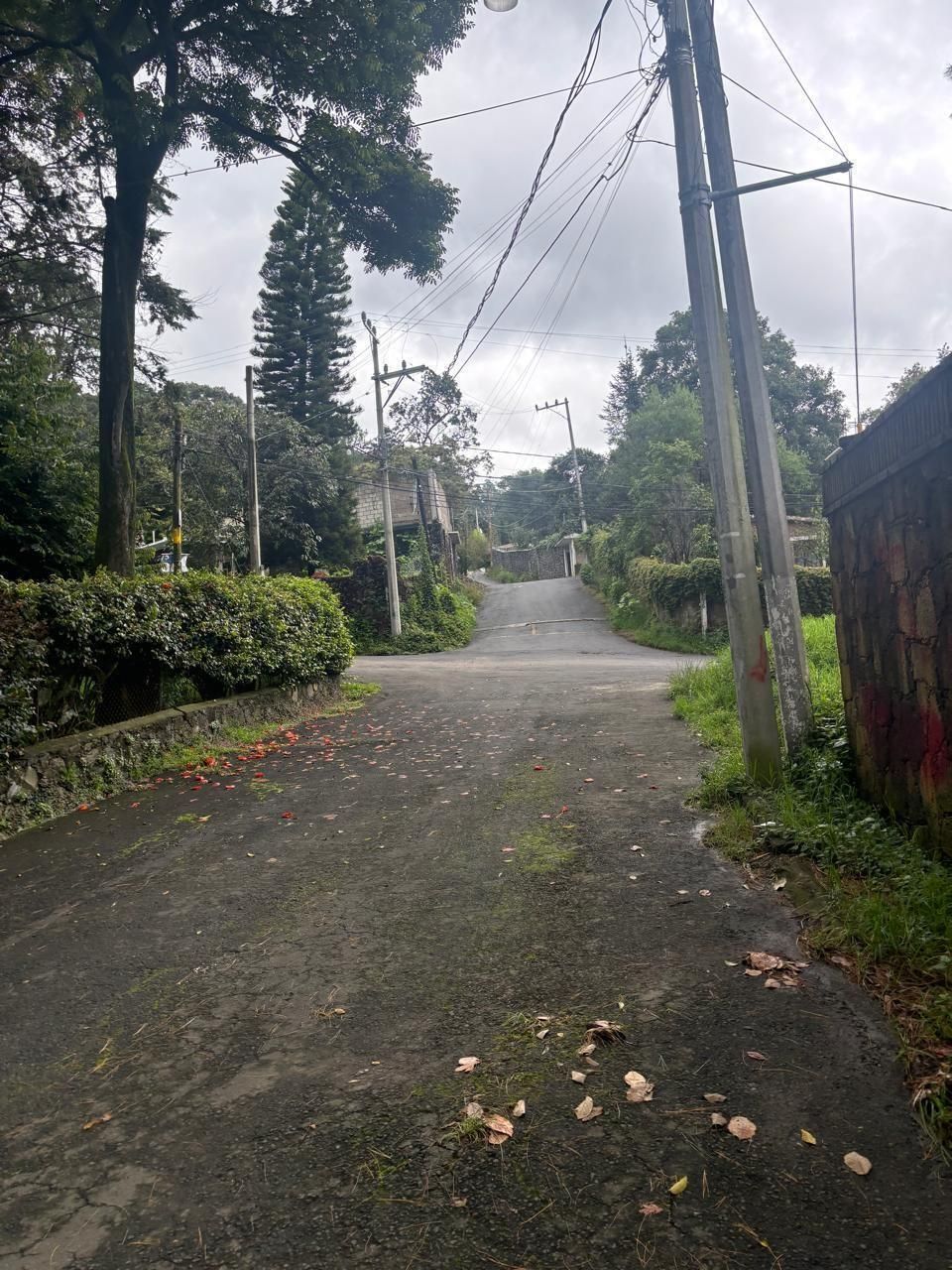 3 de 10