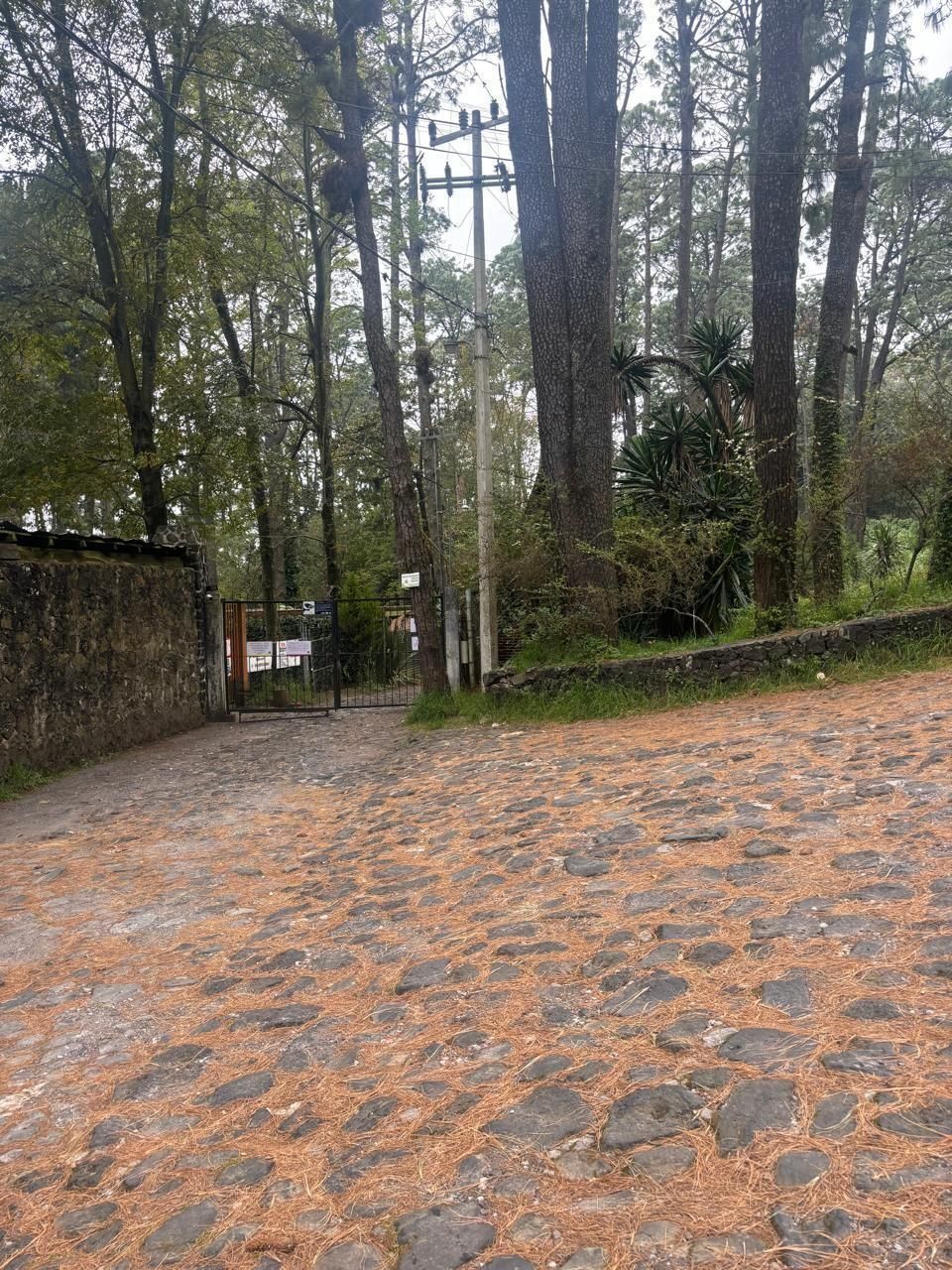 5 de 13