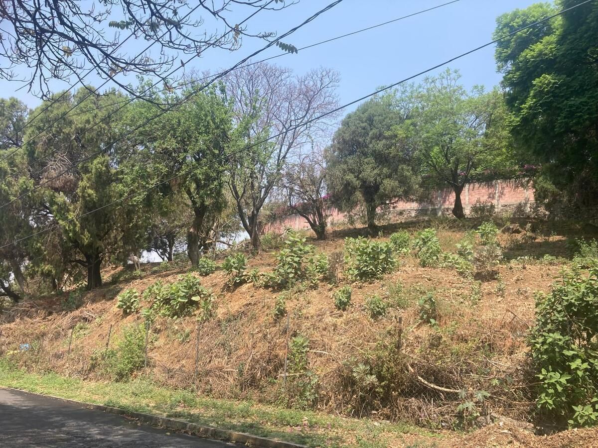 3 de 10