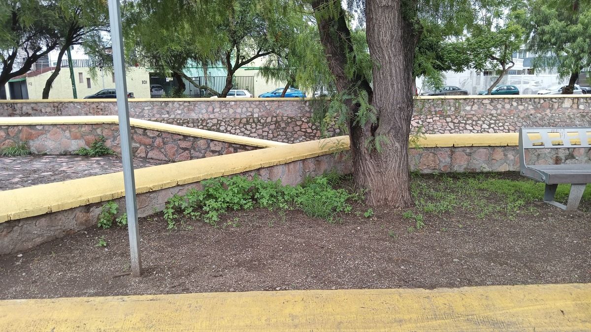 3 de 4: PARQUE ENFRENTE