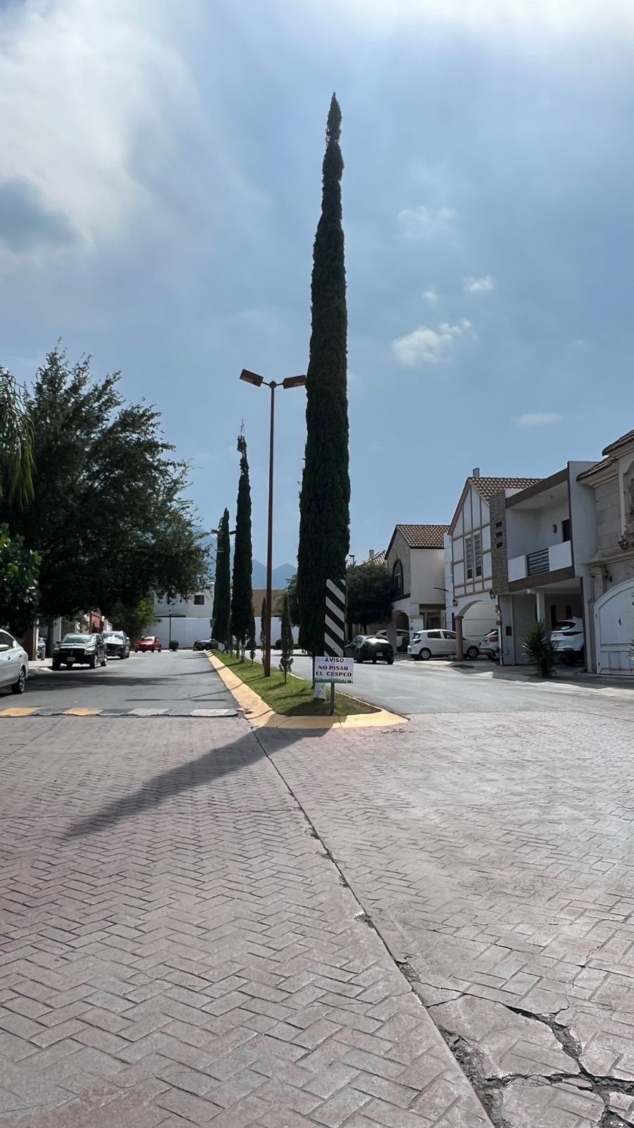 16 de 17