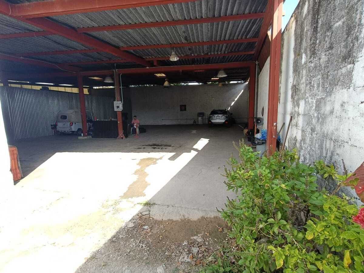 4 de 8