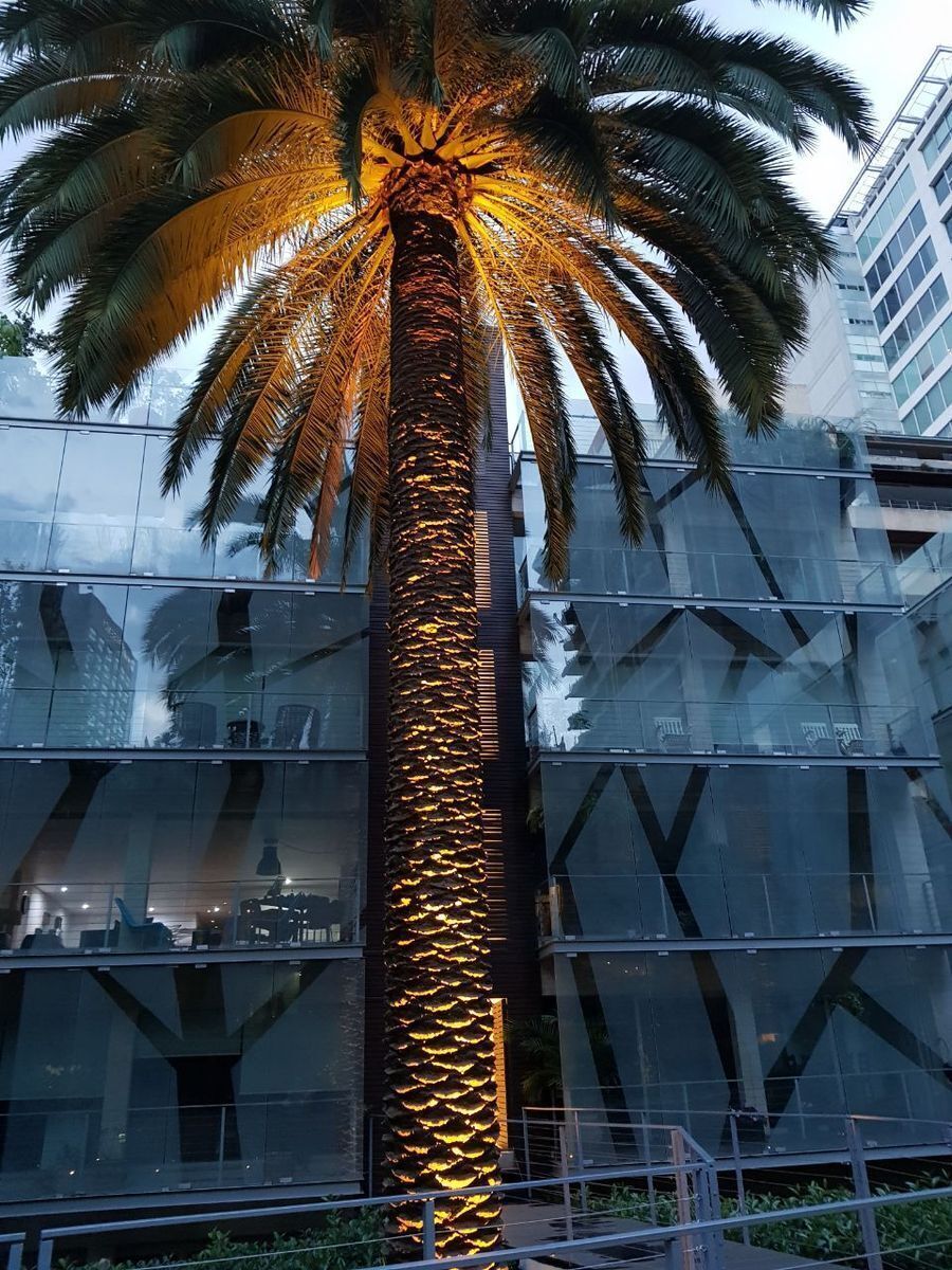 Departamento en Polanco V Sección, Miguel Hidalgo, foto 16 de 29