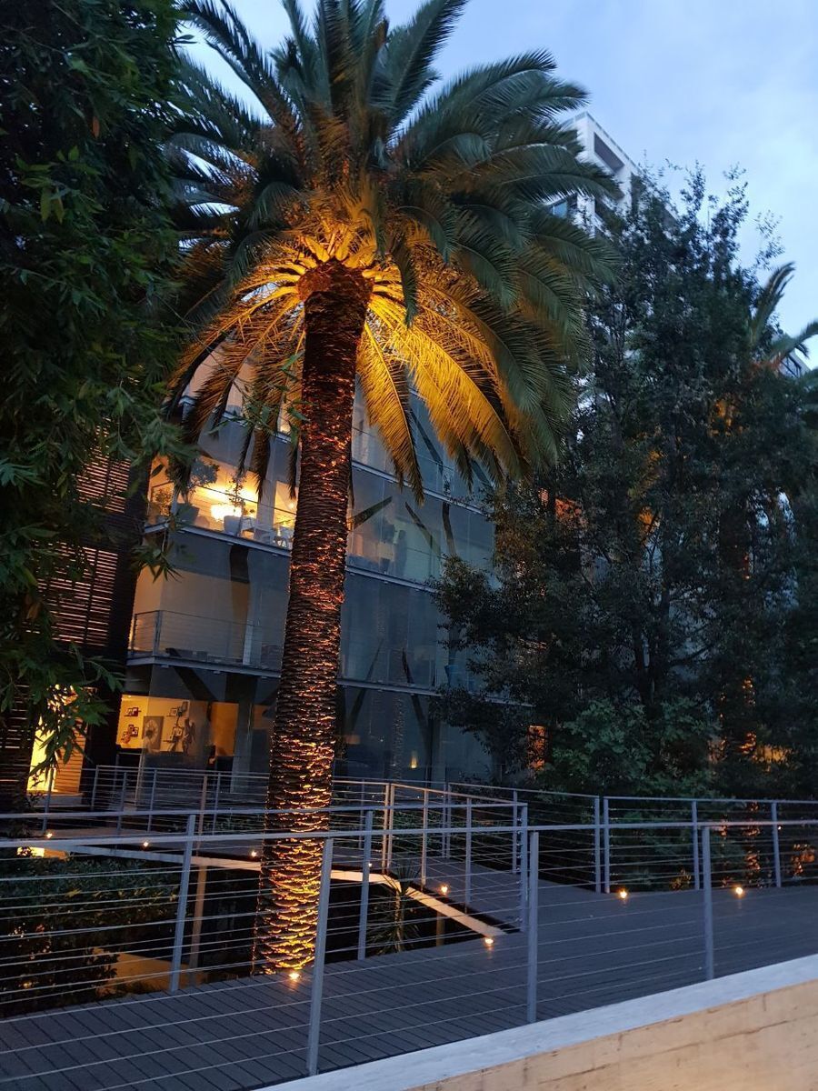 Departamento en Polanco V Sección, Miguel Hidalgo, foto 17 de 29
