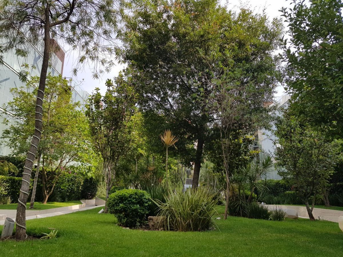 Departamento en Polanco V Sección, Miguel Hidalgo, foto 20 de 29