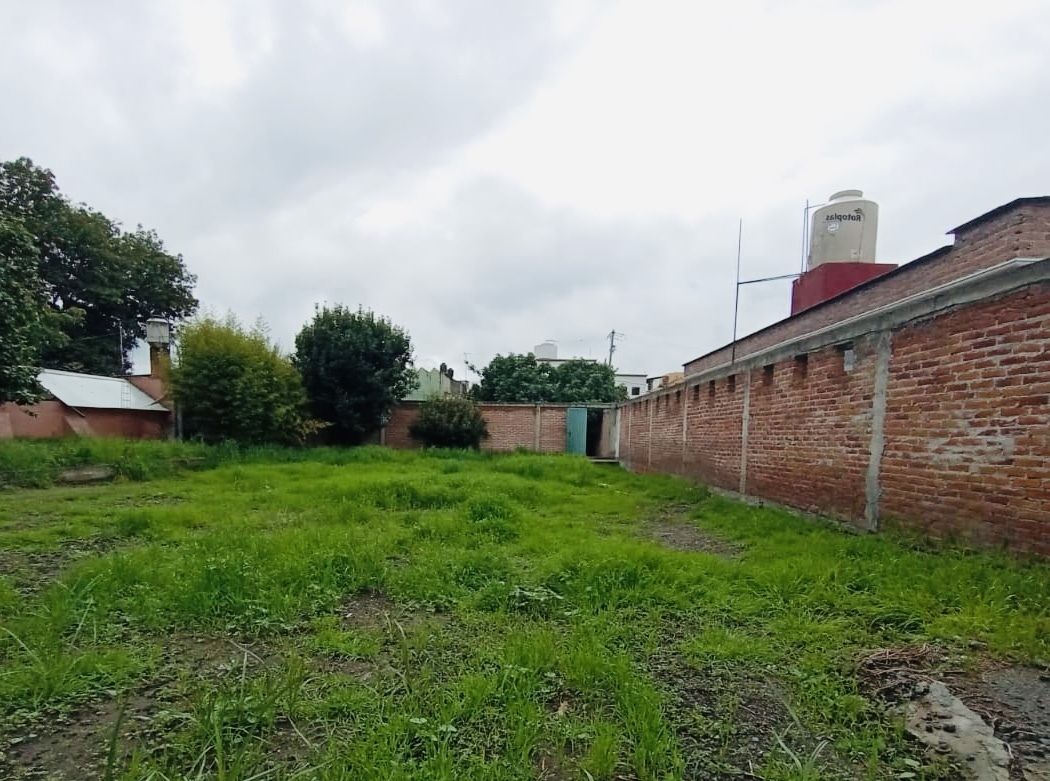 14 de 17