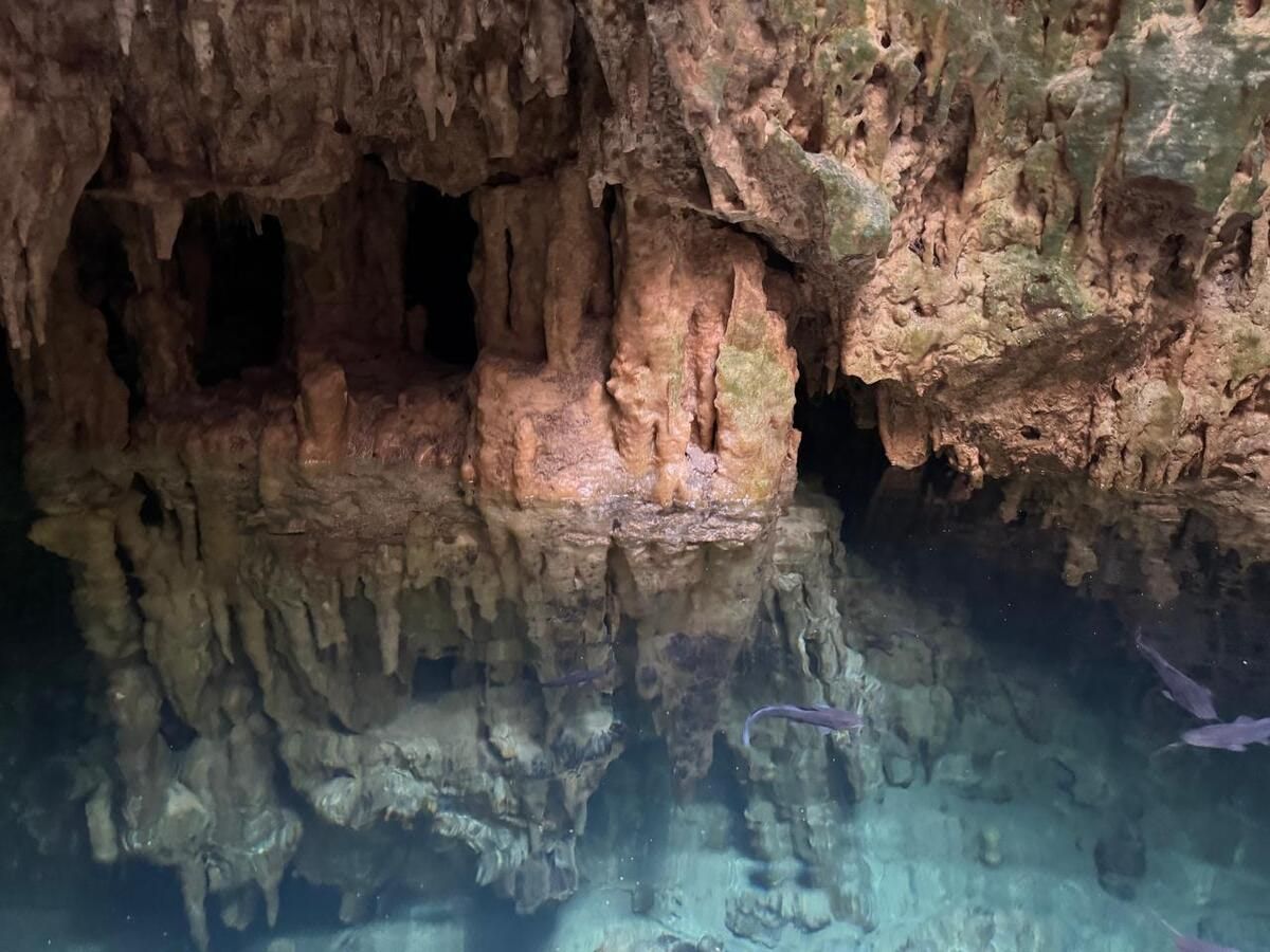 Se Vende Casa con Cenote en Merida Yucatán