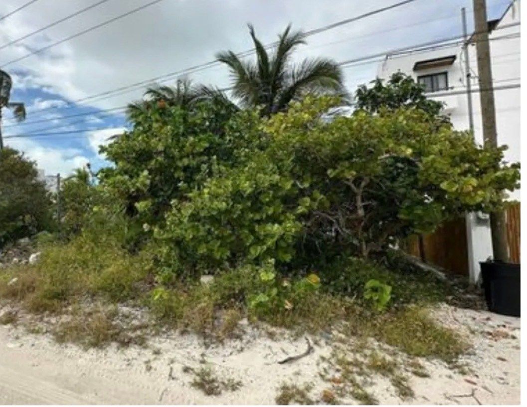 Lot in Dzemul, Mérida, photo 6 of 6