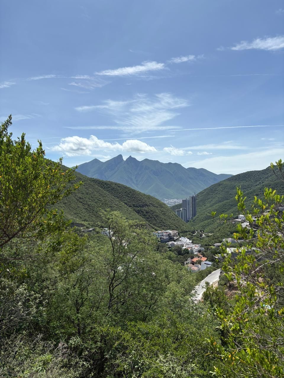 5 de 5