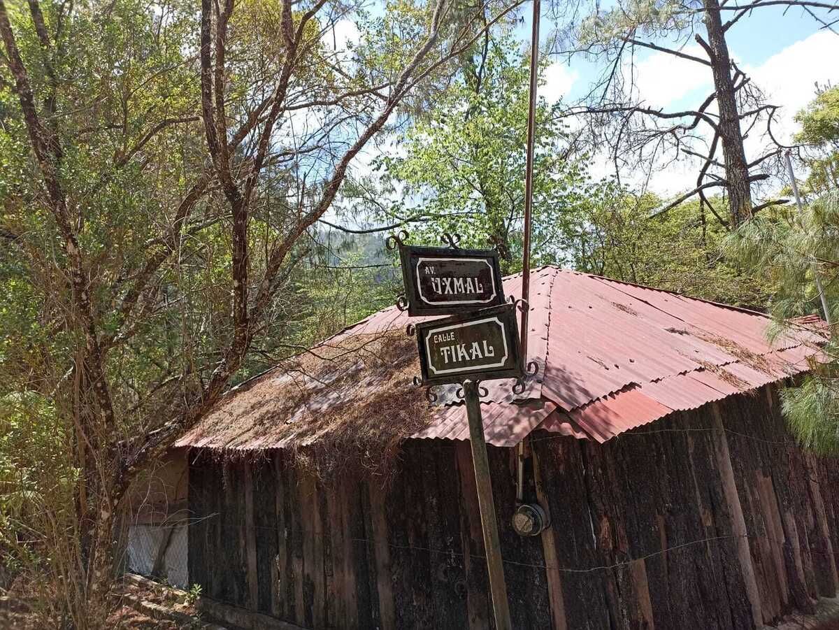 4 of 5