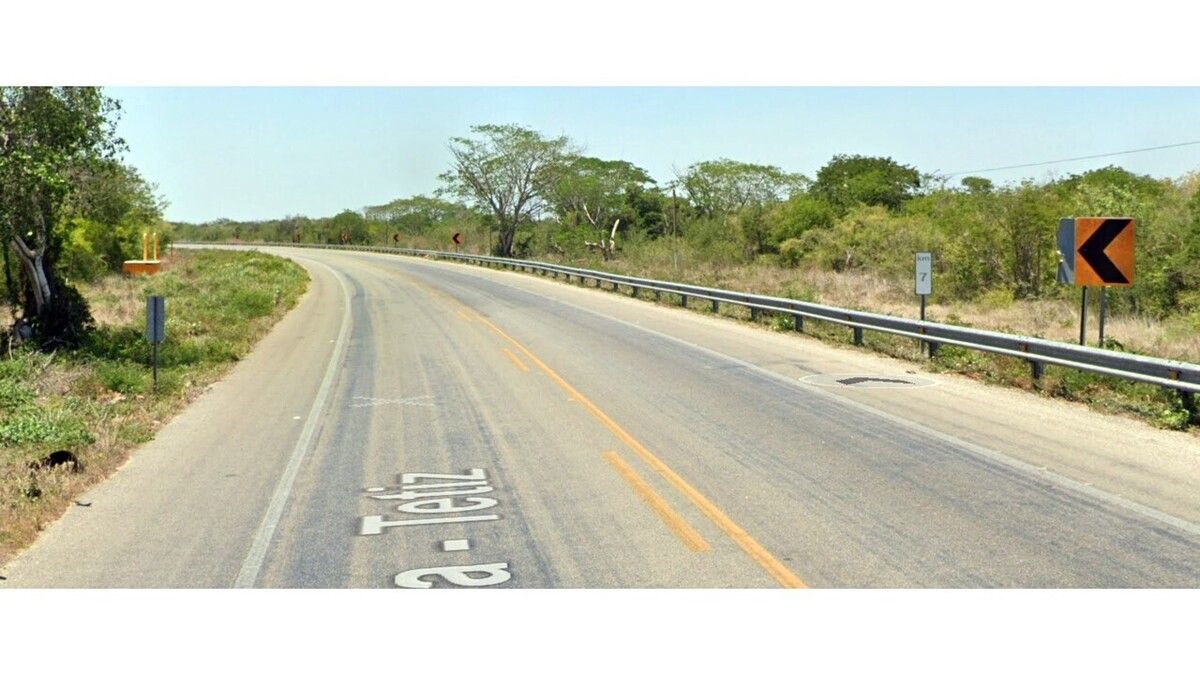 3 de 6