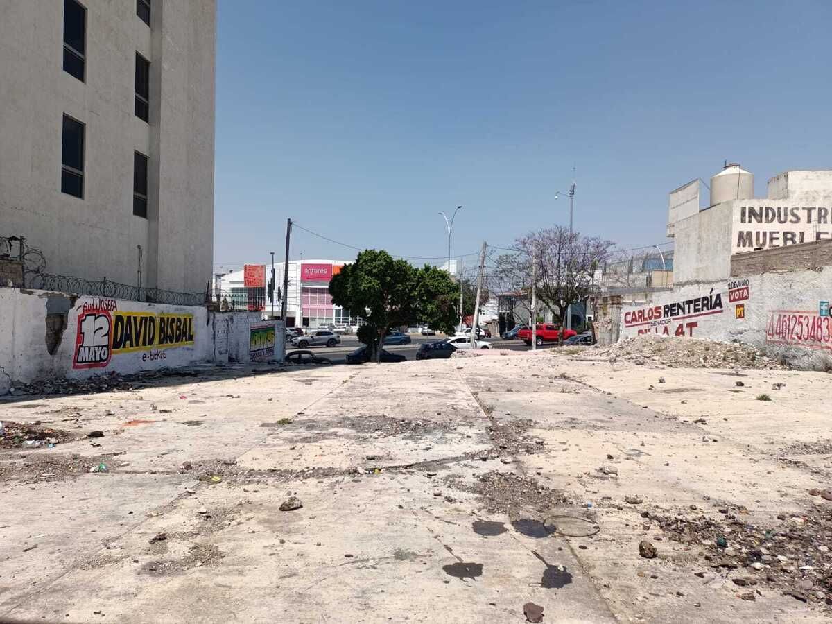 6 de 21