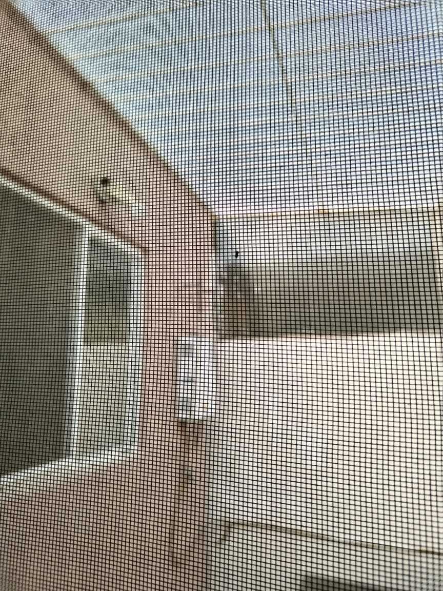 2 of 15