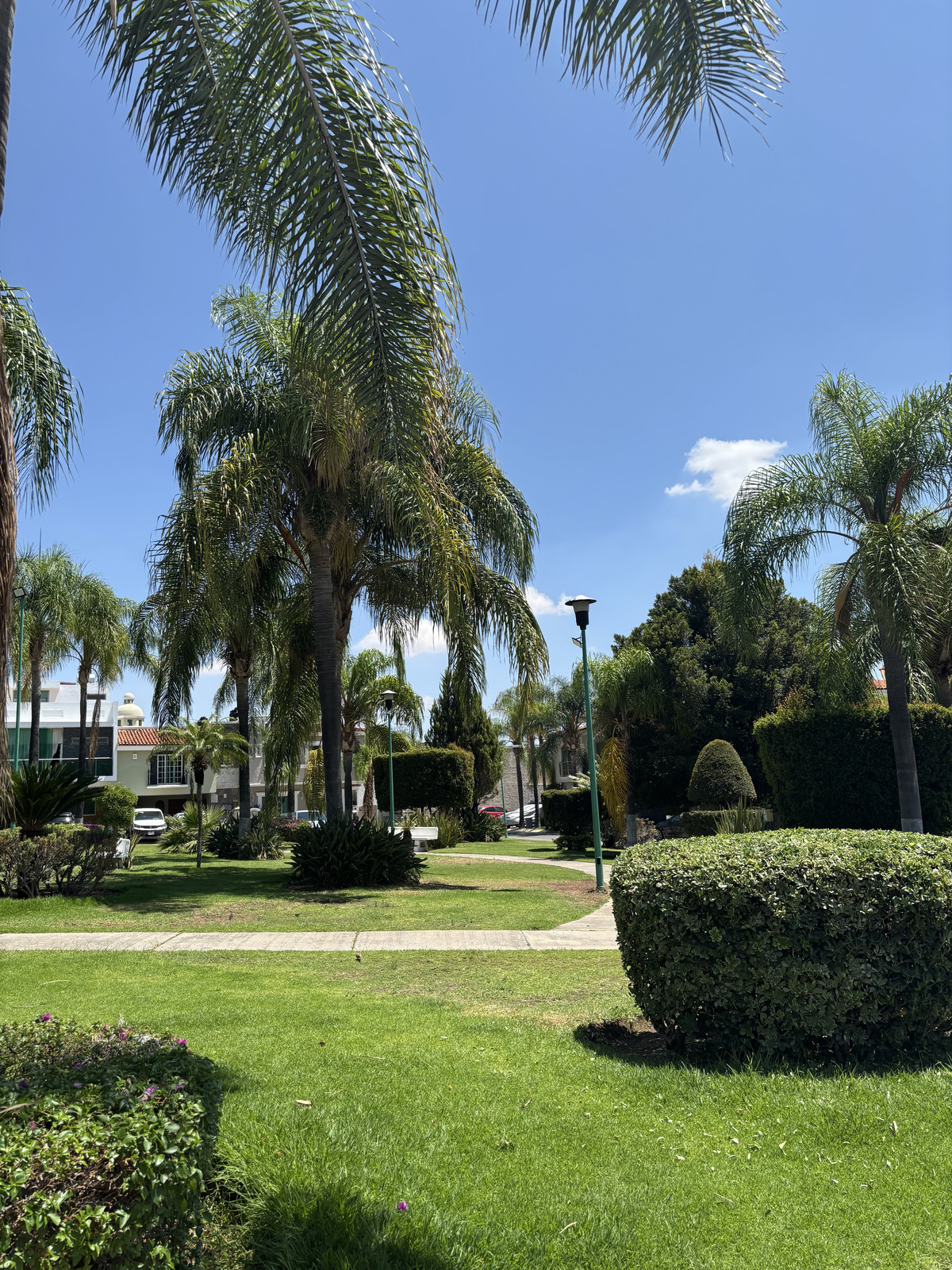 23 de 36