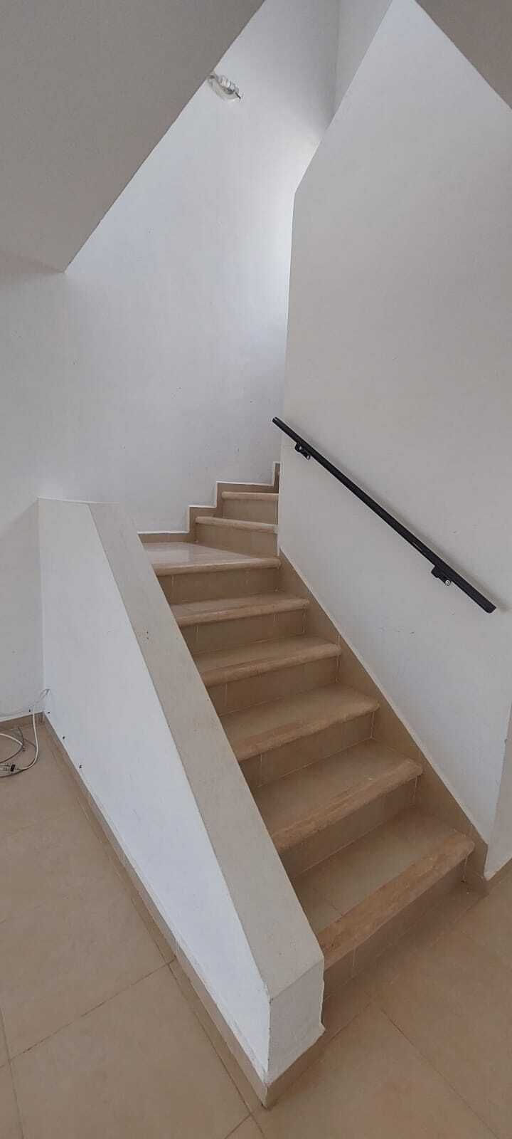 5 de 31