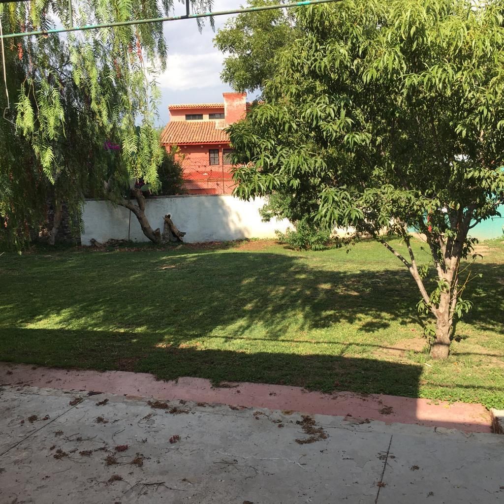 1 de 19