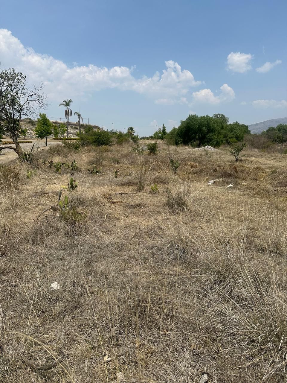 4 de 10