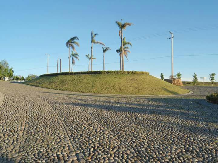 4 de 10