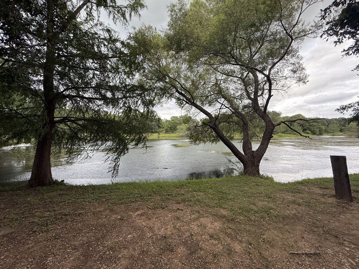 Country House in Mil Encinos, Montemorelos, photo 22 of 24