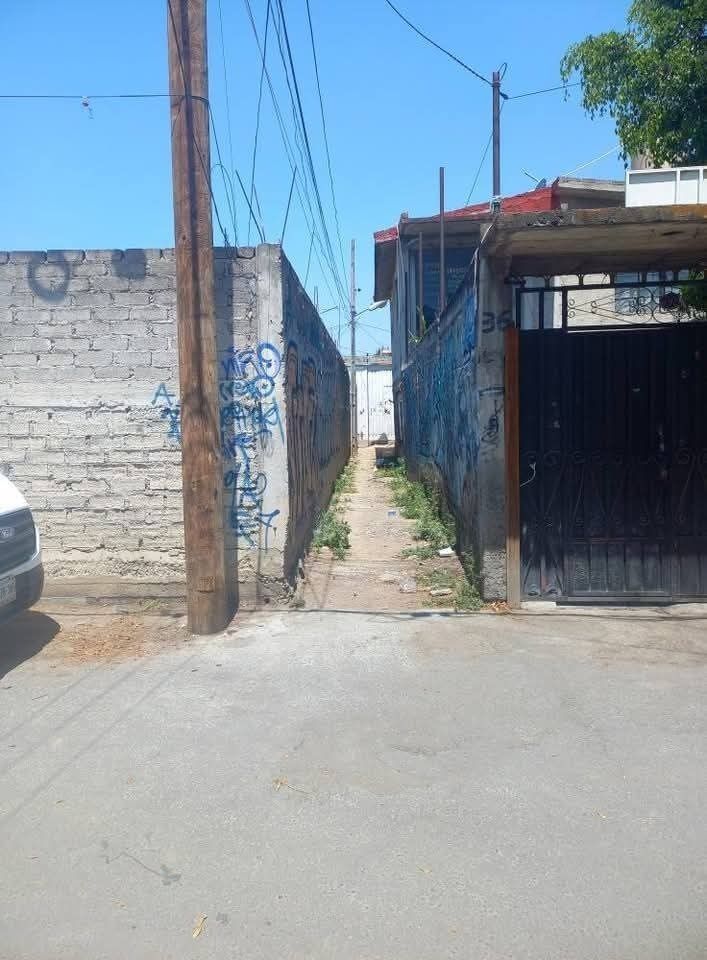 3 de 8