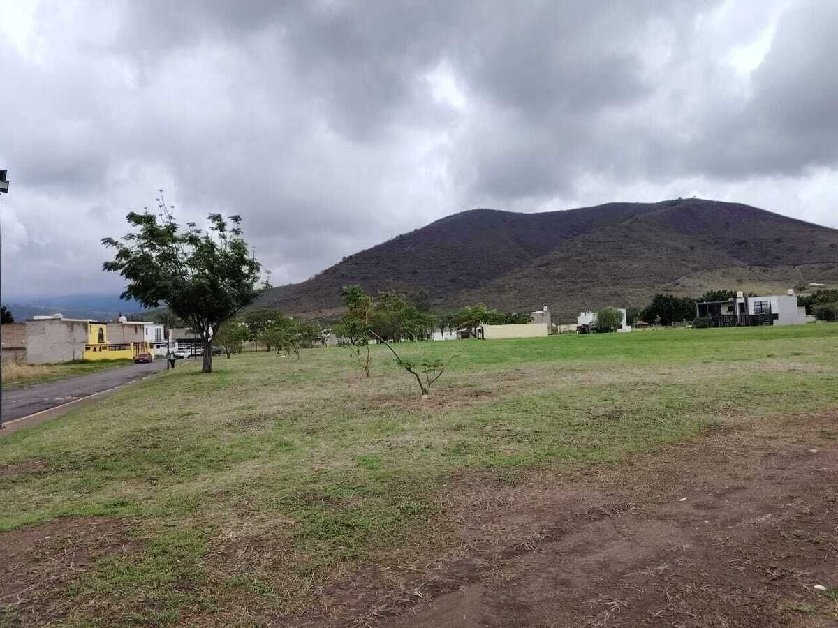 3 de 21
