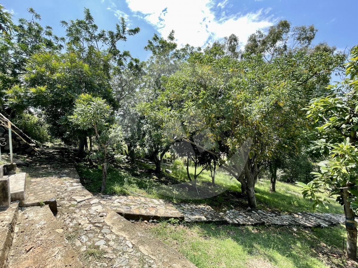 3 de 30