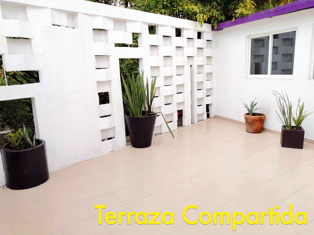 Imagen 10 de 10