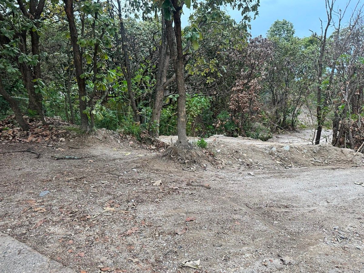 Terreno en El Palomar Secc Bosques, Tlajomulco de Zúñiga, foto 7 de 11