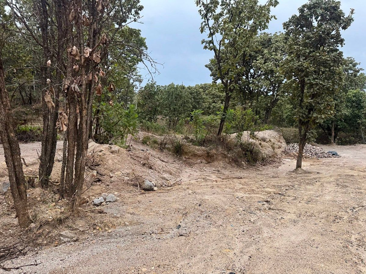 Terreno en El Palomar Secc Bosques, Tlajomulco de Zúñiga, foto 8 de 11
