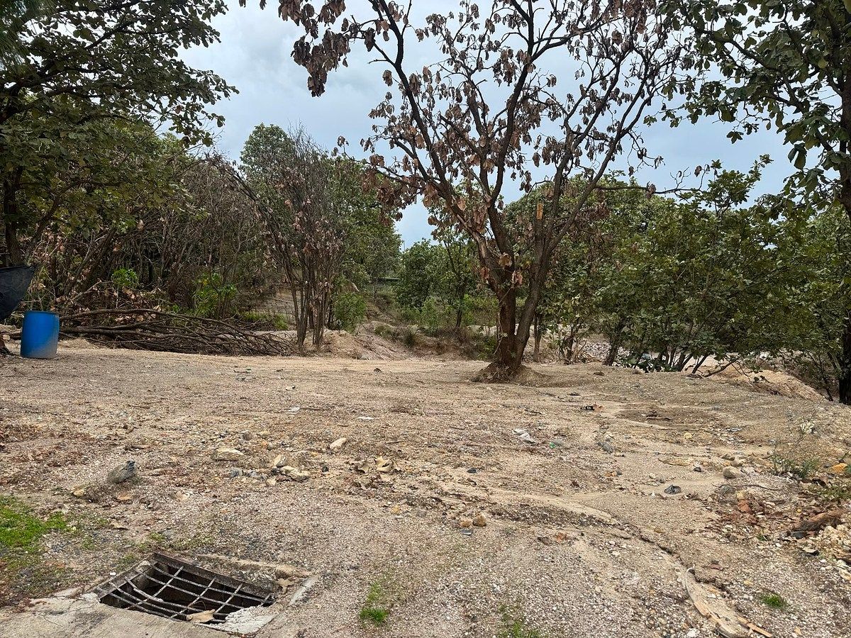 Terreno en El Palomar Secc Bosques, Tlajomulco de Zúñiga, foto 6 de 11