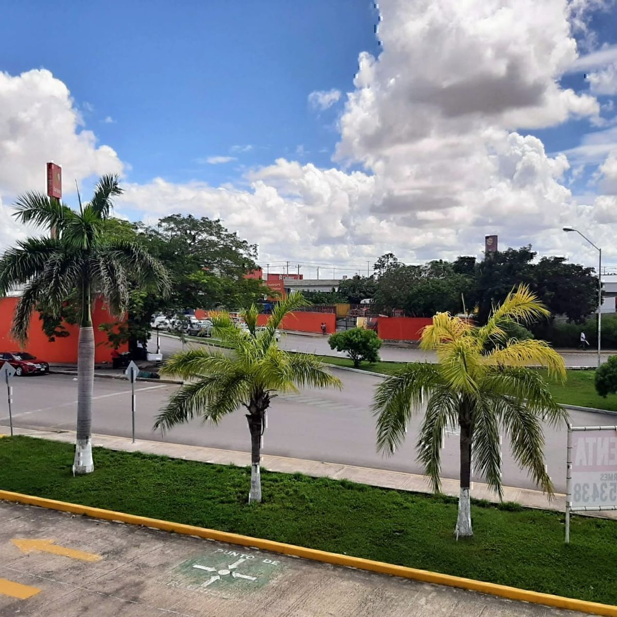 14 de 19