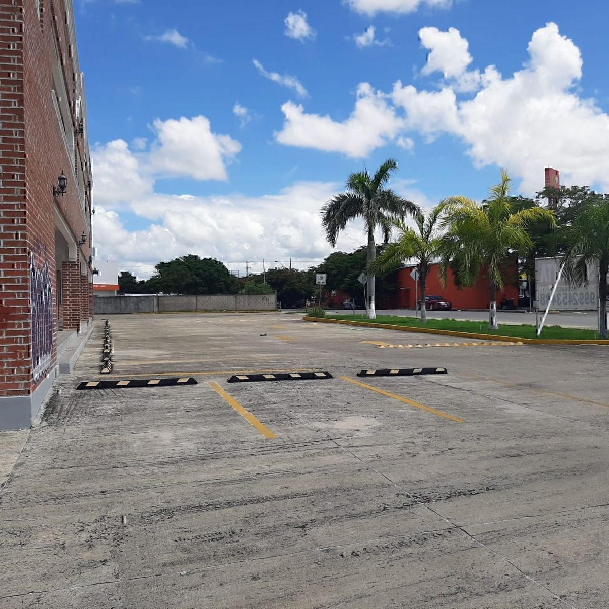 15 de 19