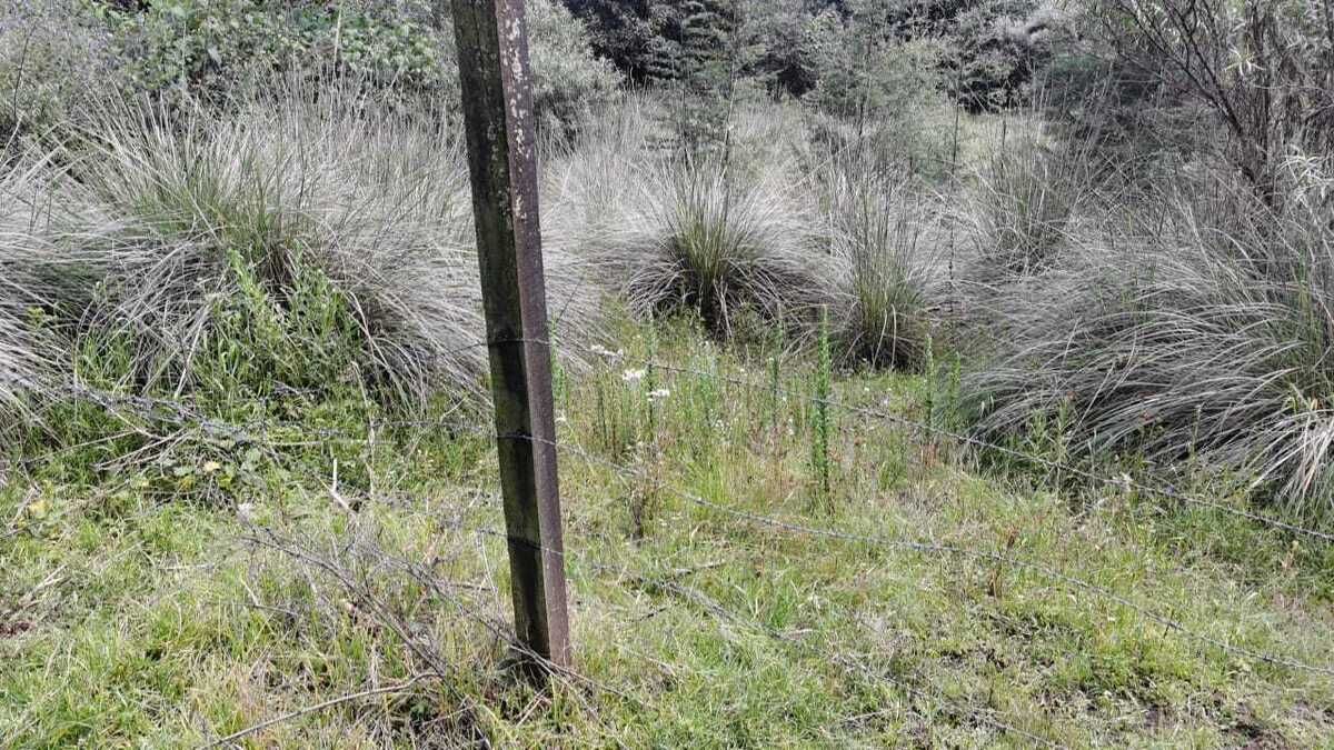1 de 21
