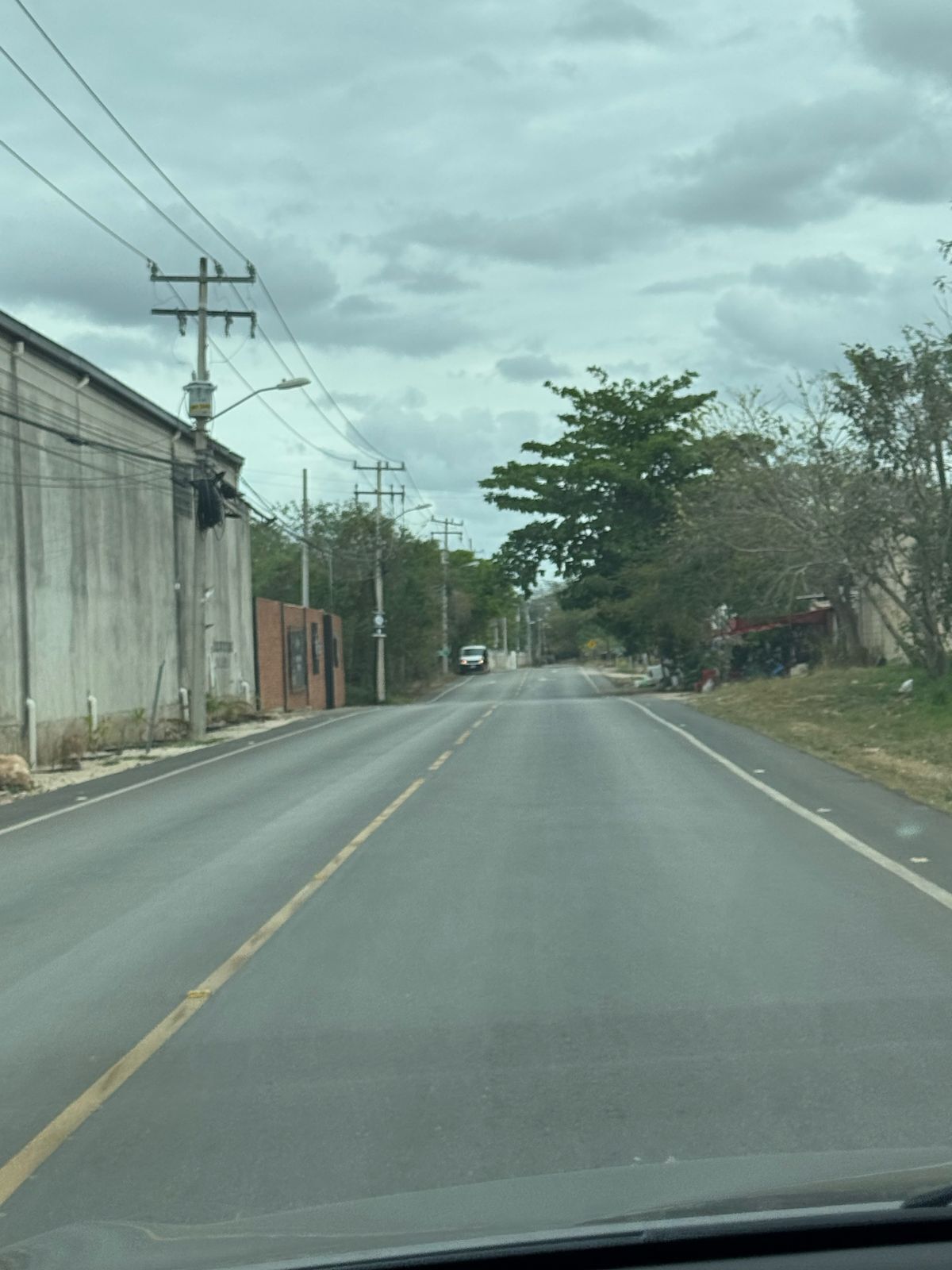 3 de 6