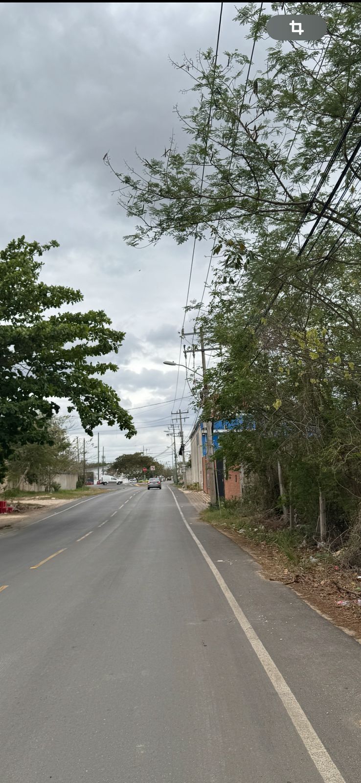 4 de 6