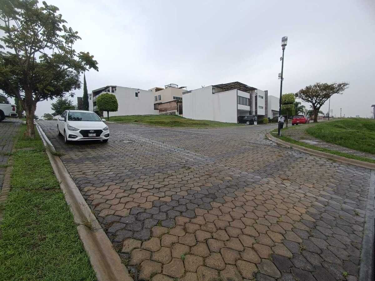 Imagen 3 de 10