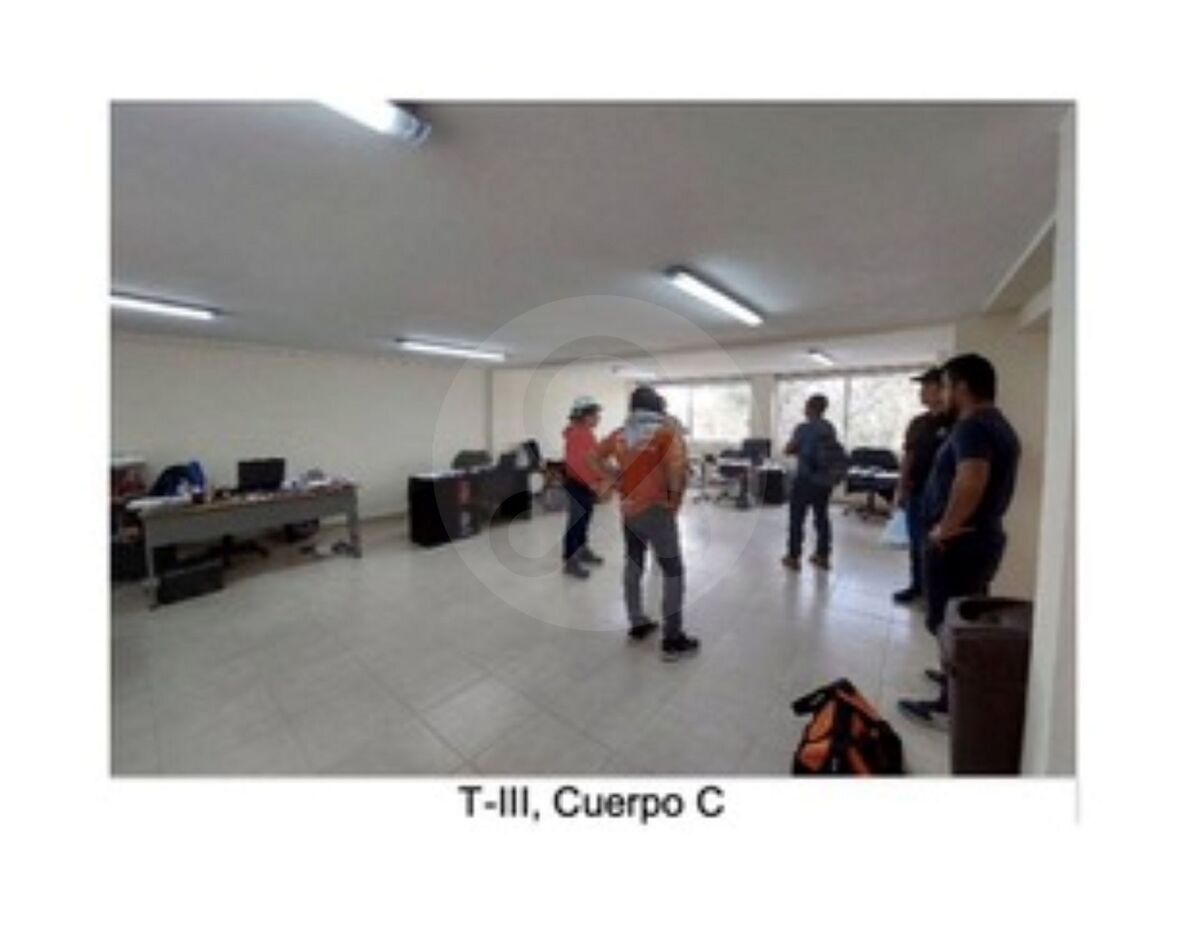 6 de 23