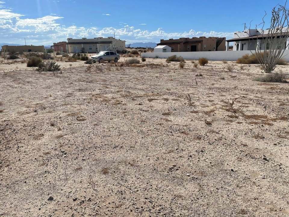 3 de 12