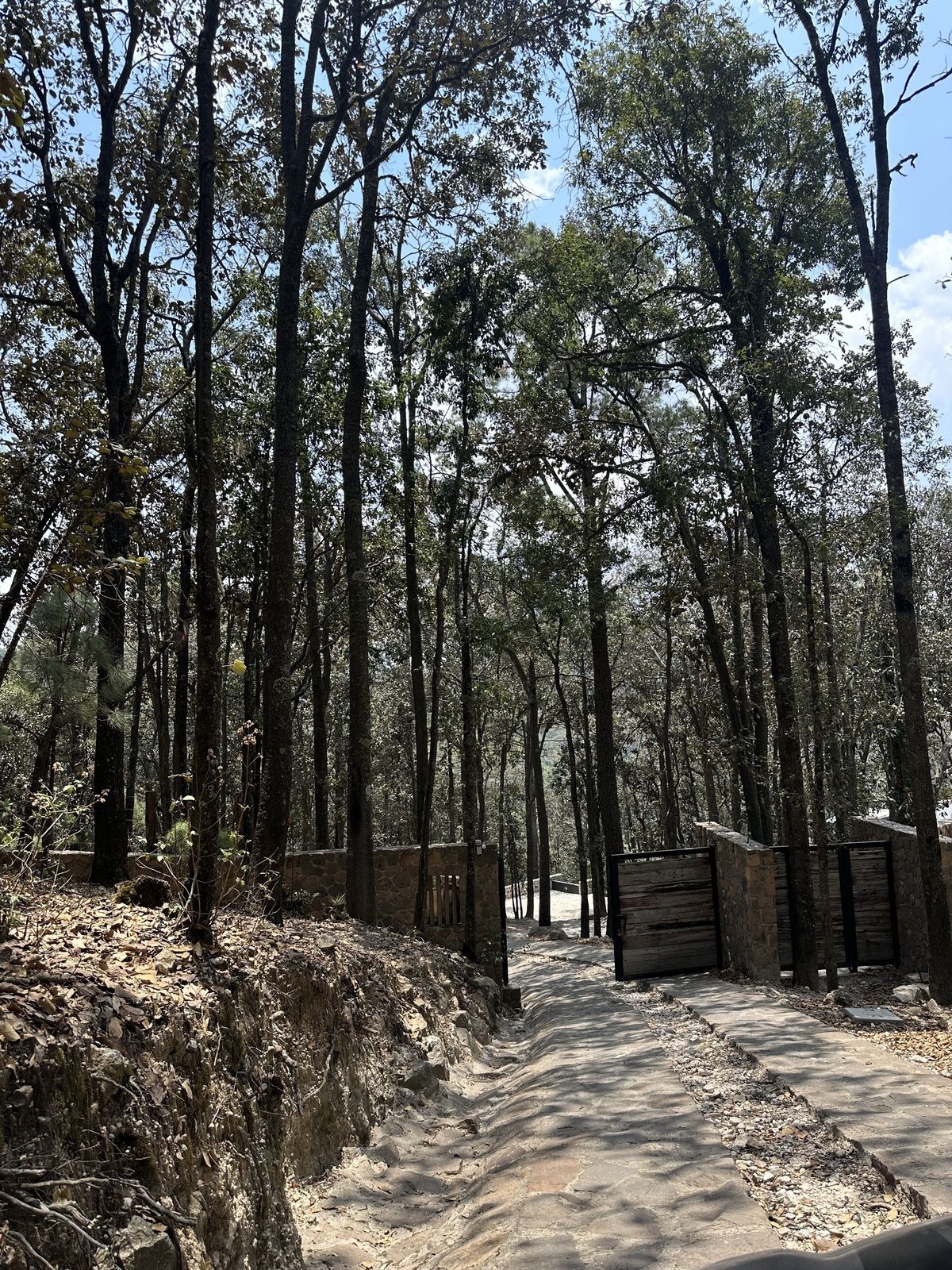 SERVÍN LAGO $ 2,500,000 - foto 1