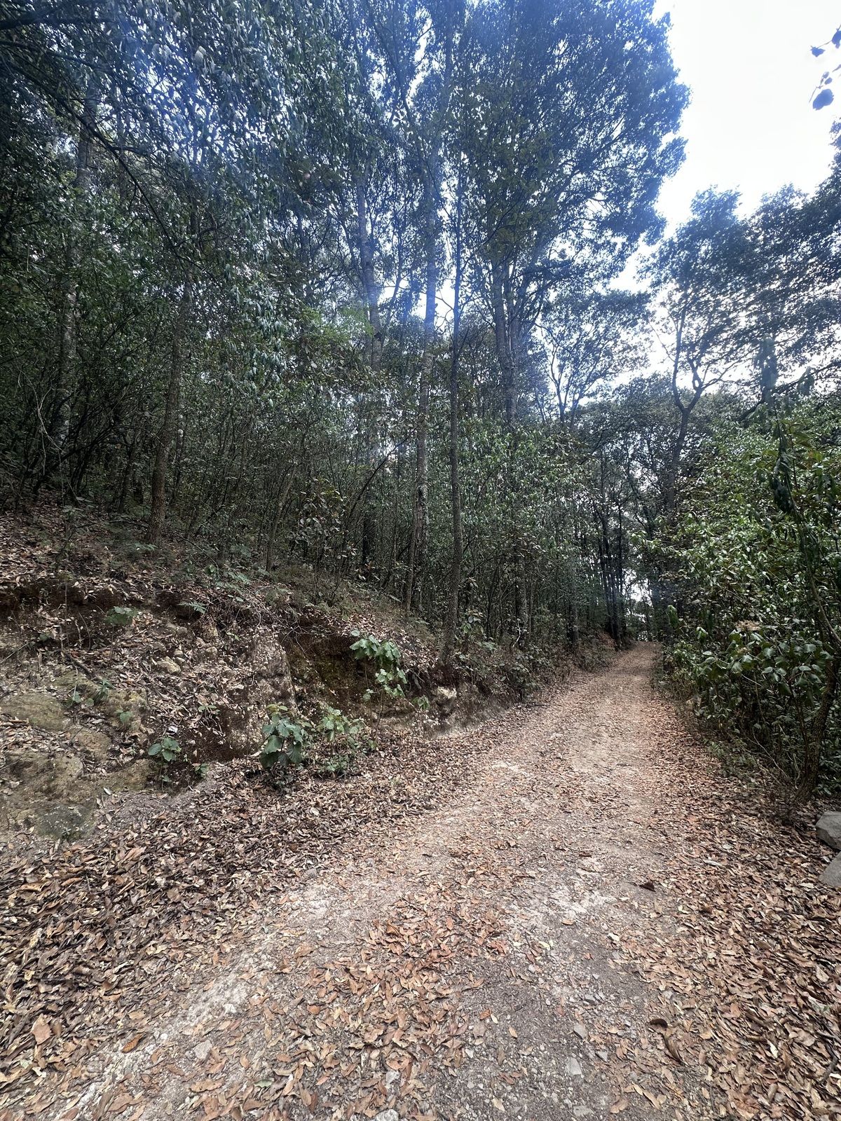 SERVÍN LAGO $ 2,500,000 - foto 4